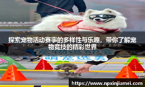  新利luck官网