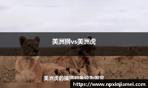 美洲狮vs美洲虎