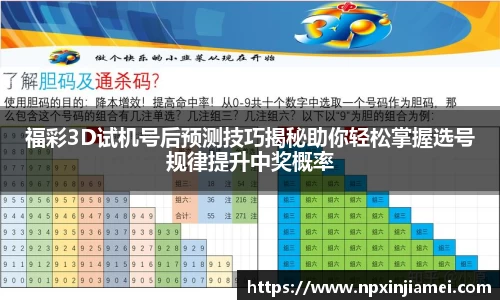 福彩3D试机号后预测技巧揭秘助你轻松掌握选号规律提升中奖概率